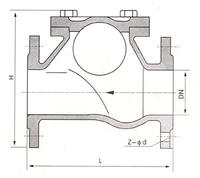 check valve.jpg